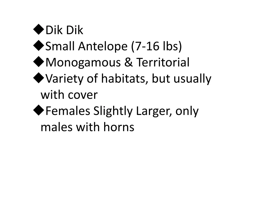 dik dik small antelope 7 16 lbs monogamous