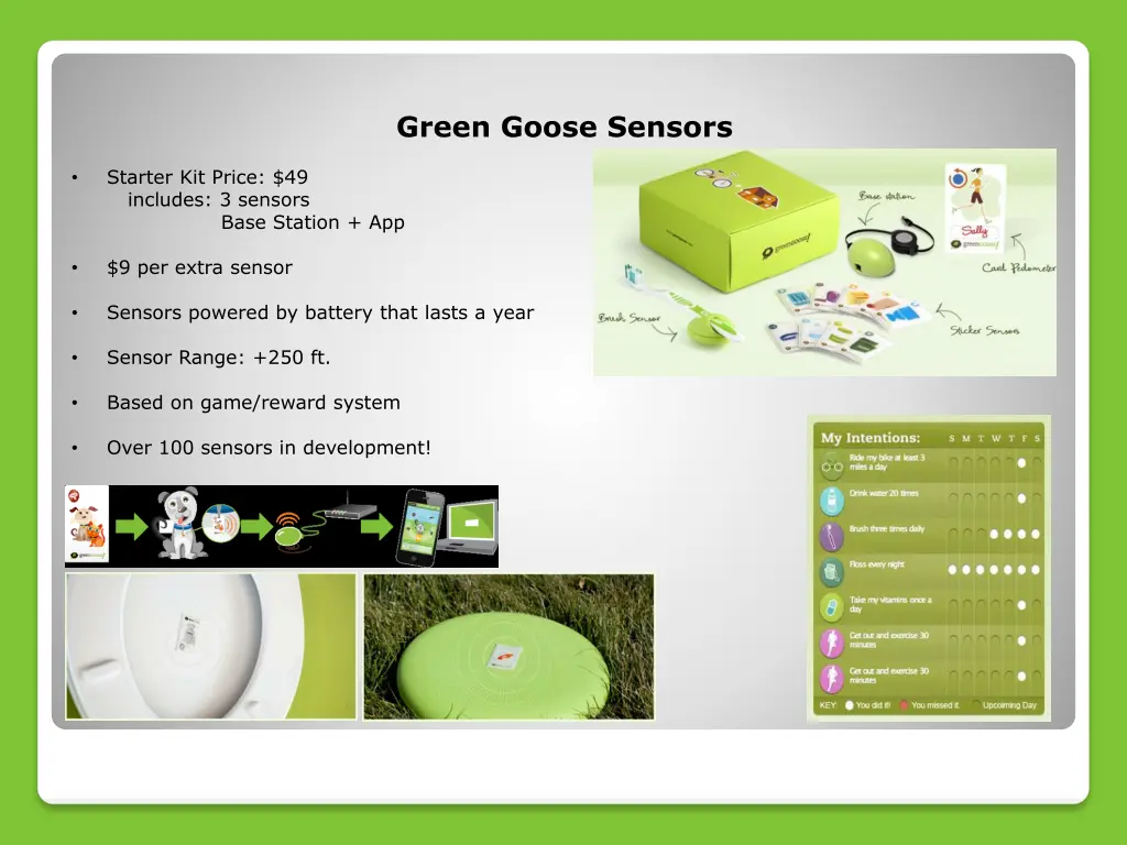 green goose sensors