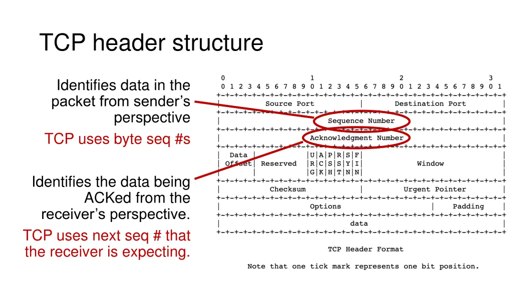 tcp header structure 1