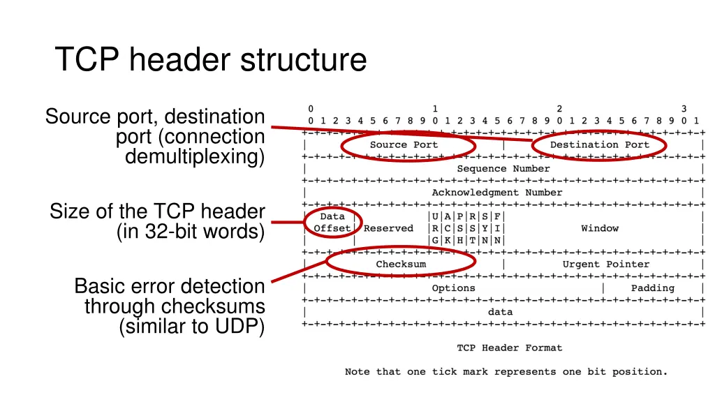 tcp header structure