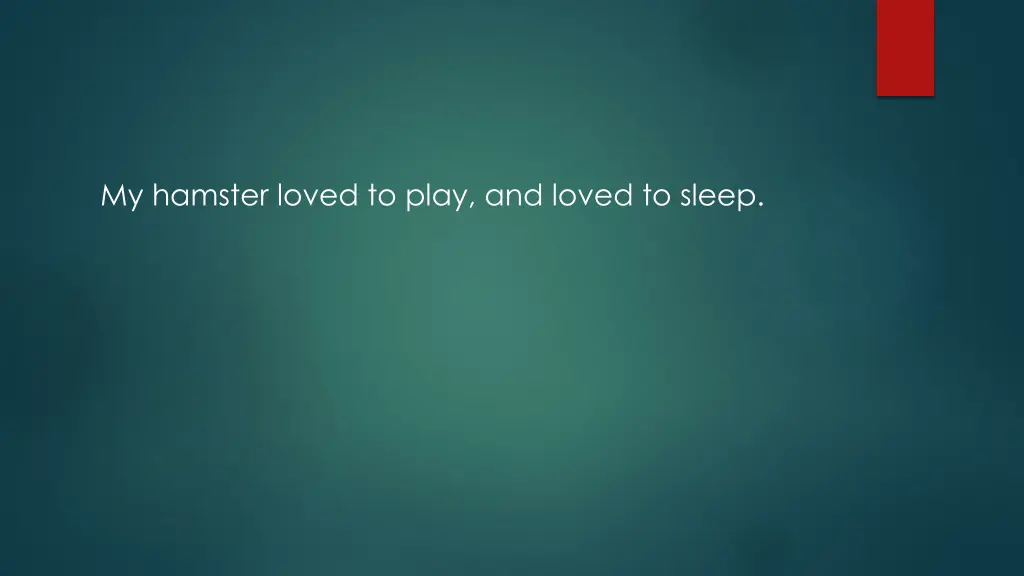 my hamster loved to play and loved to sleep