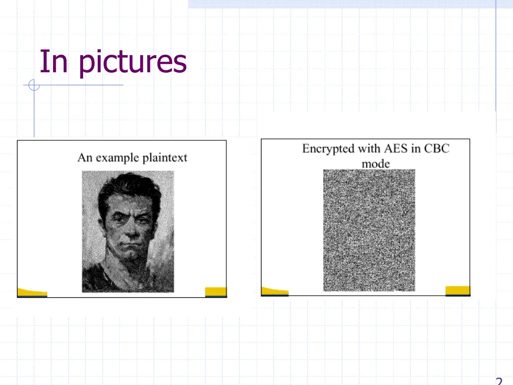 in pictures 1