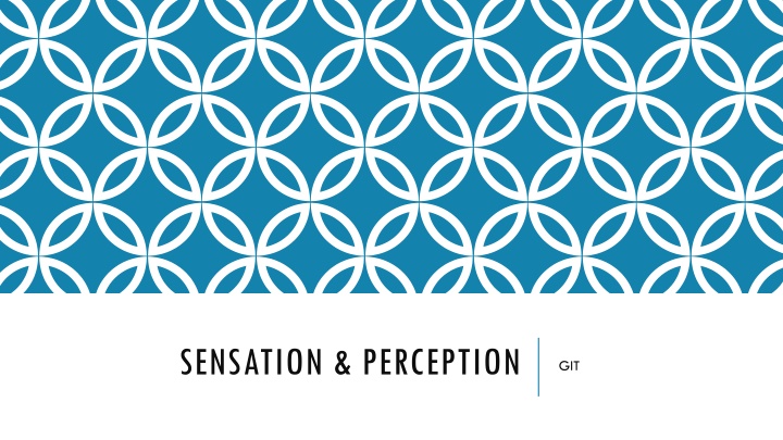 sensation perception