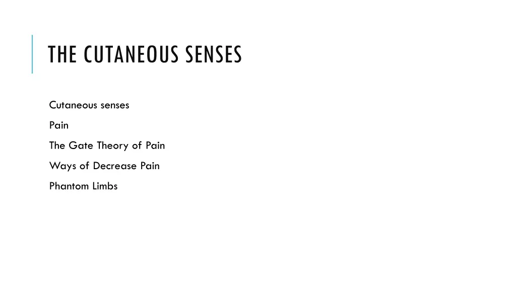 the cutaneous senses