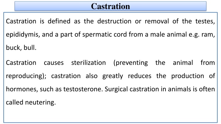 castration
