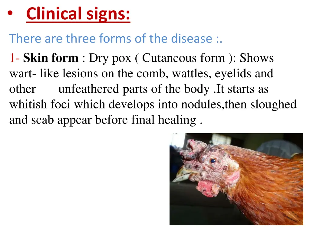 clinical signs