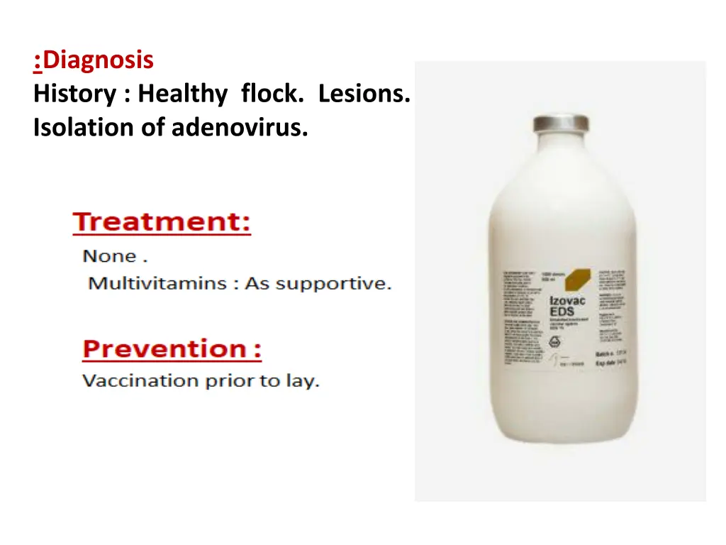 diagnosis history healthy flock lesions isolation