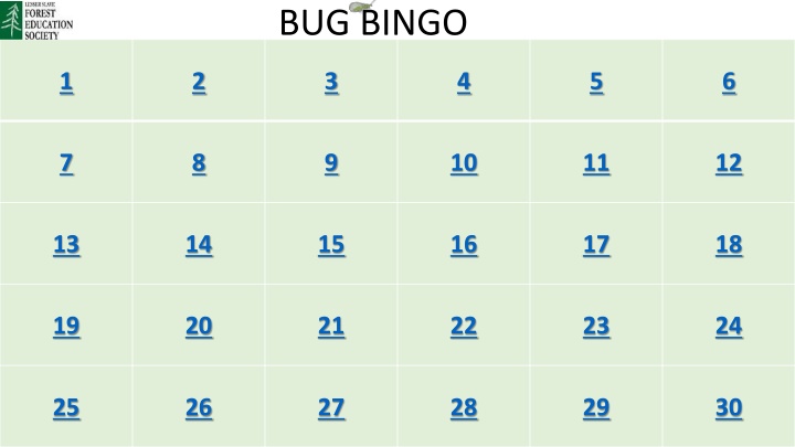 bug bingo