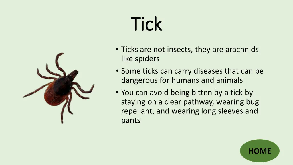 tick tick
