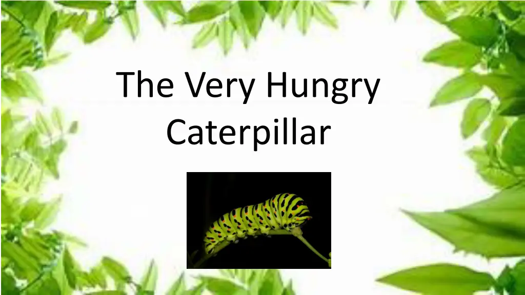 the very hungry caterpillar