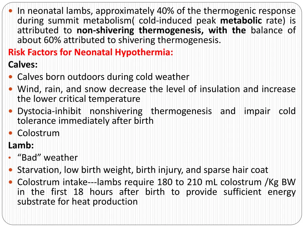in neonatal lambs approximately