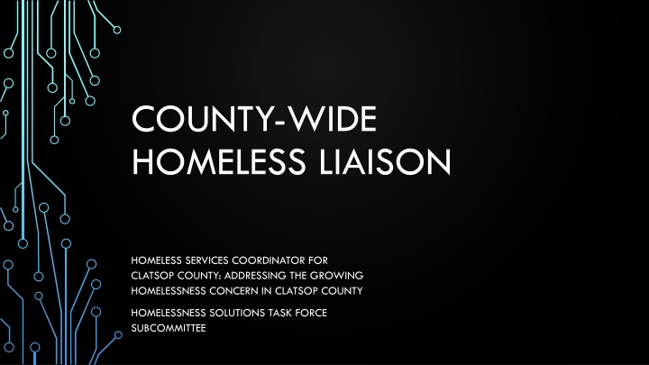 county wide homeless liaison