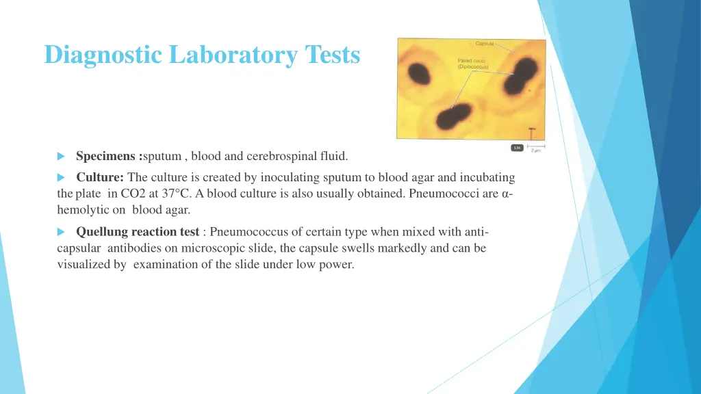 diagnostic laboratory tests