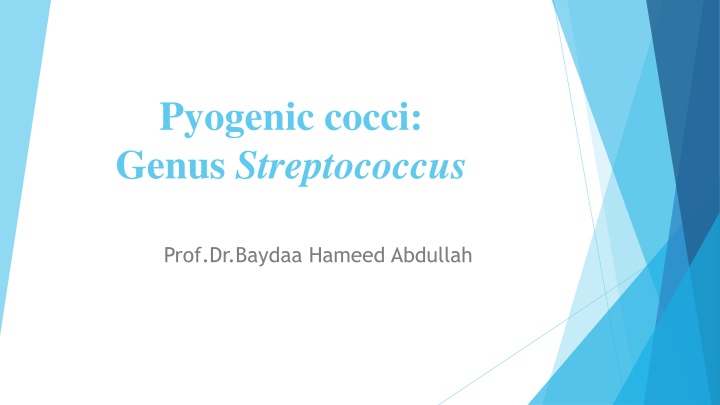 pyogenic cocci genus streptococcus