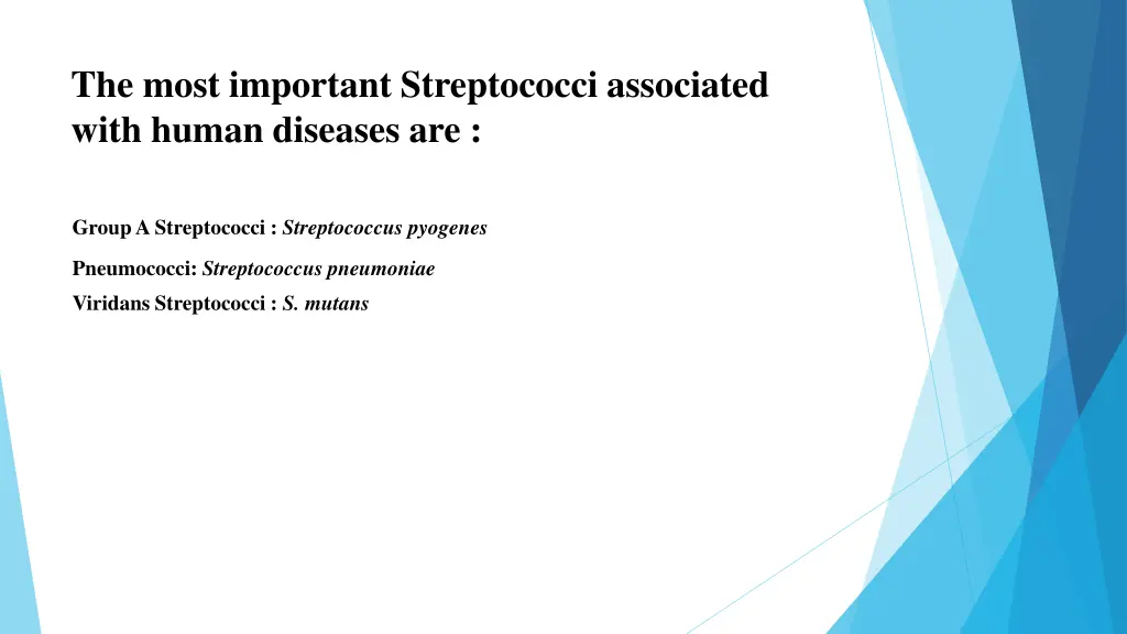 the most important streptococci associated with