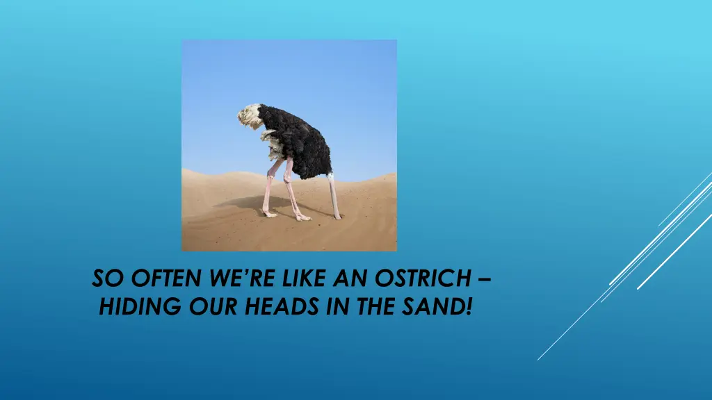 so often we re like an ostrich hiding our heads