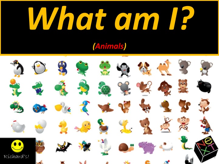 what am i animals