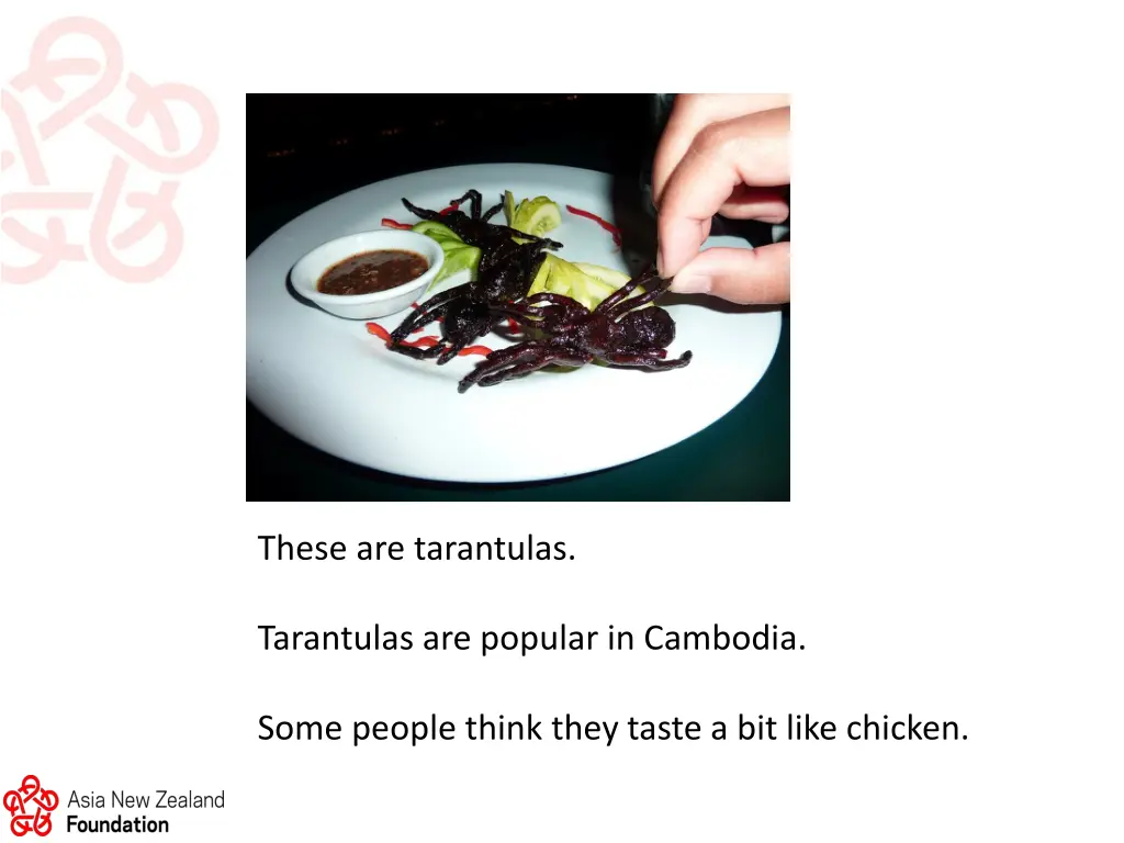 these are tarantulas