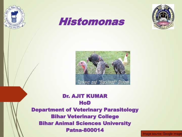 bihar animal sciences university