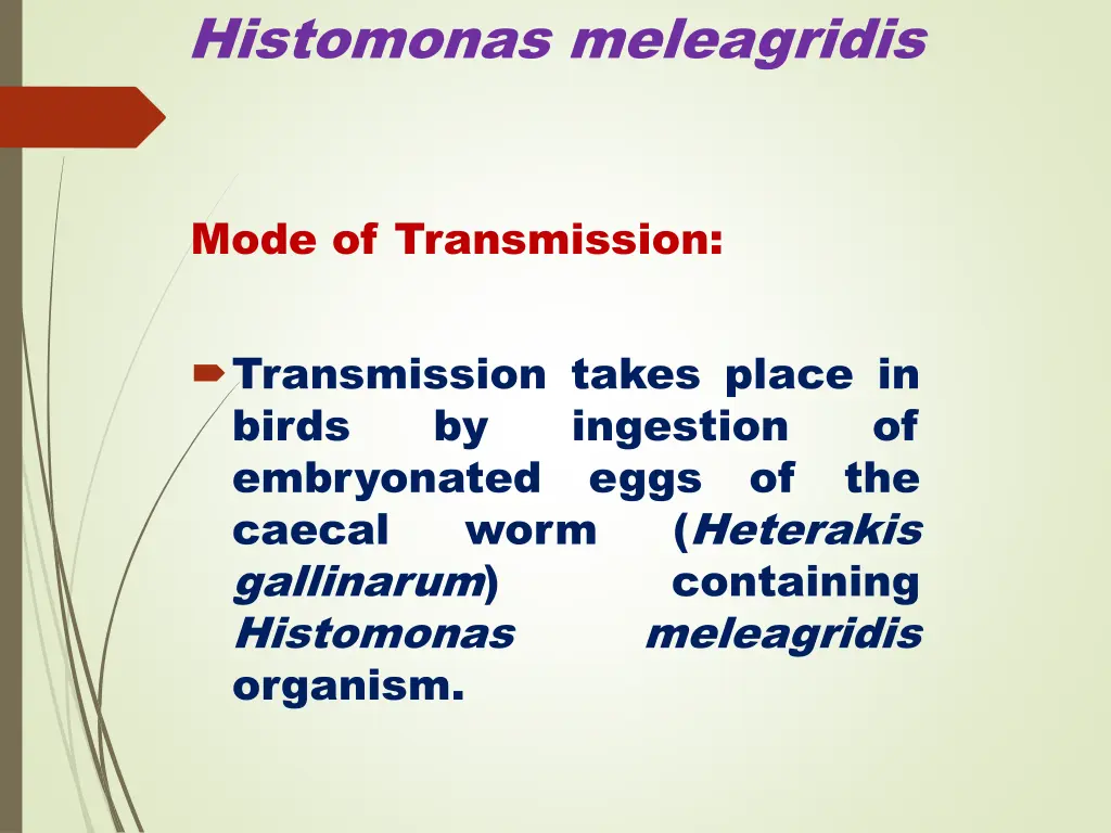 histomonas meleagridis 3