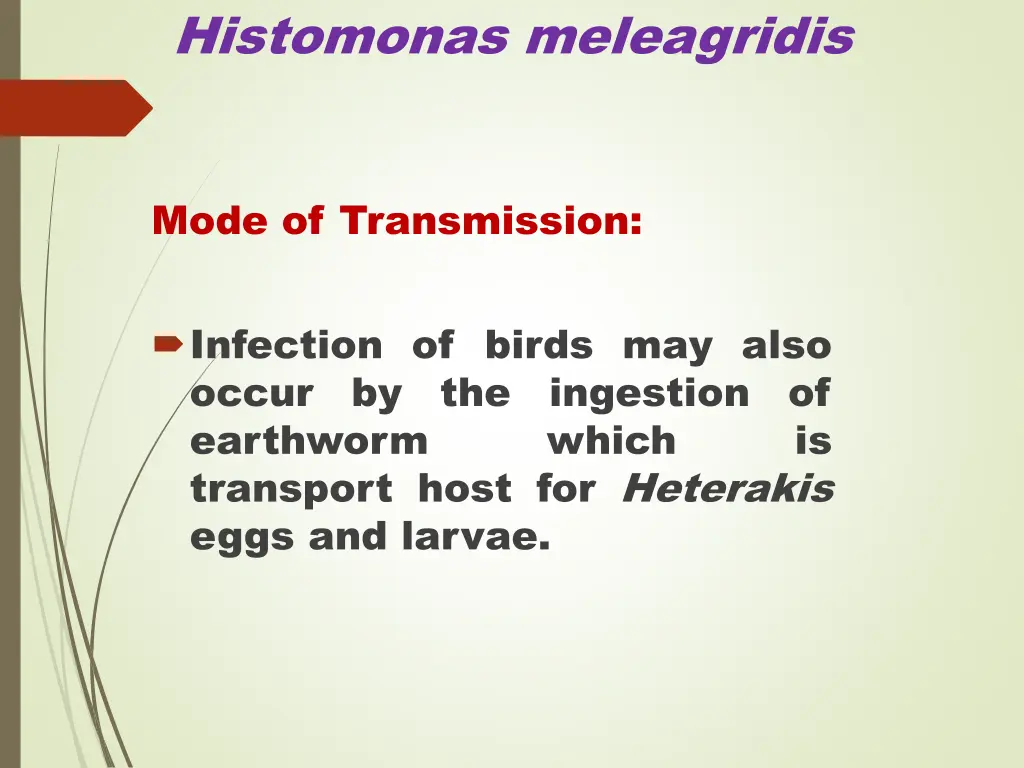 histomonas meleagridis 4