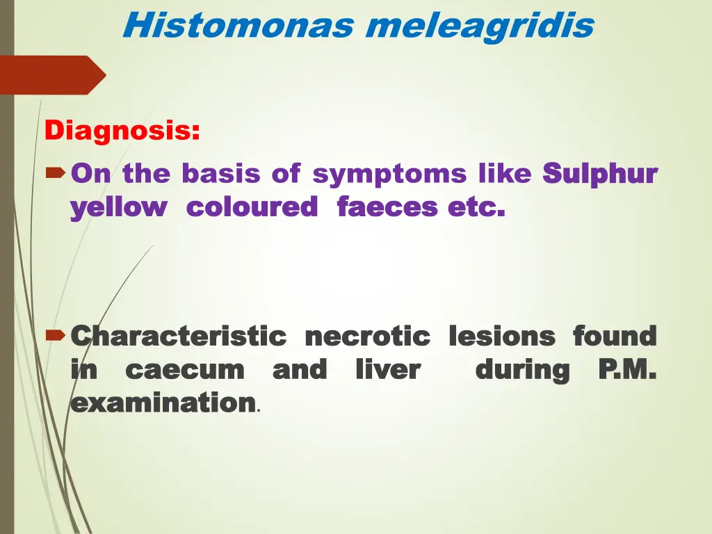 histomonas meleagridis 7