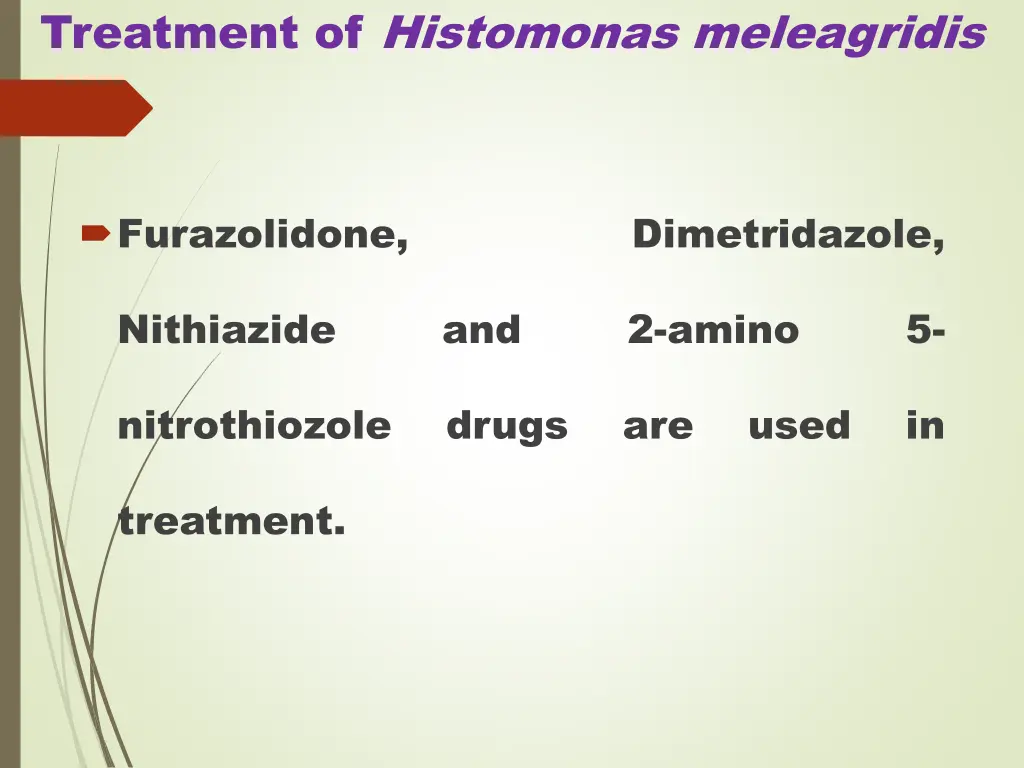 treatment of histomonas meleagridis
