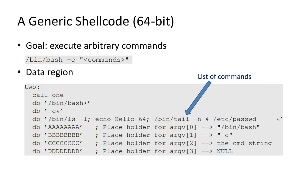 a generic shellcode 64 bit