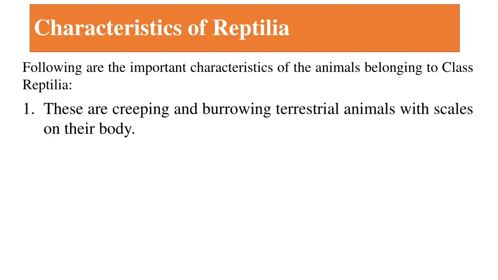 characteristics of reptilia