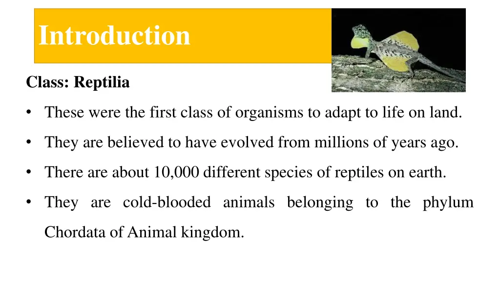 introduction