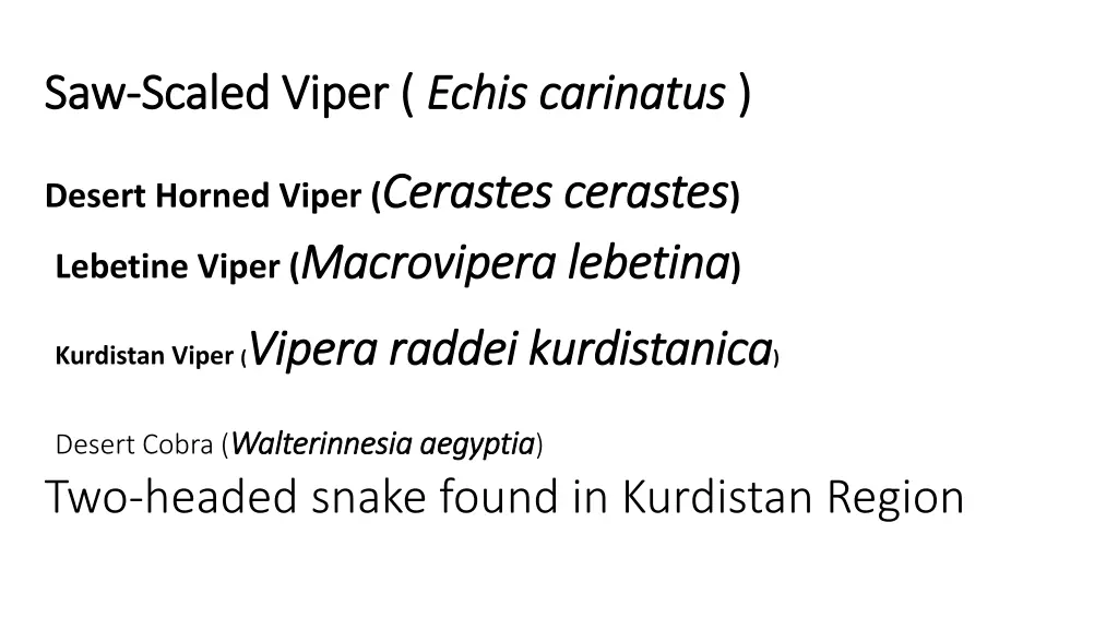 saw saw scaled viper scaled viper echis