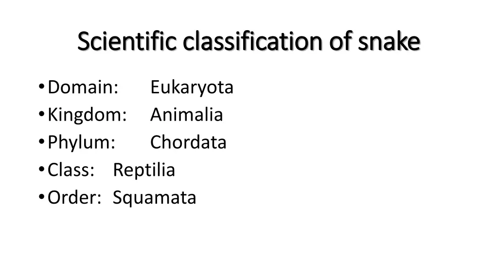 scientific classification of snake scientific