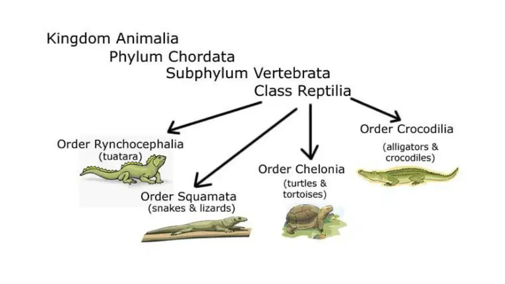 slide14