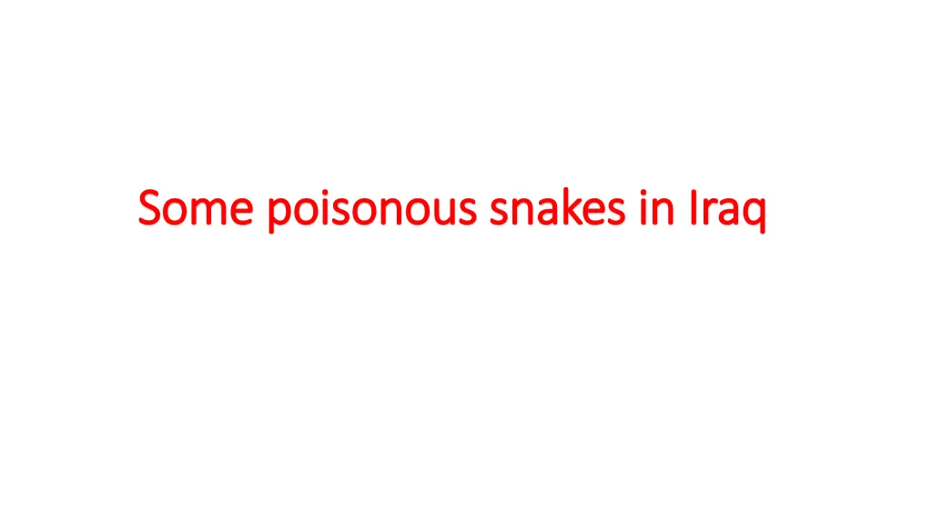 some poisonous snakes in iraq some poisonous