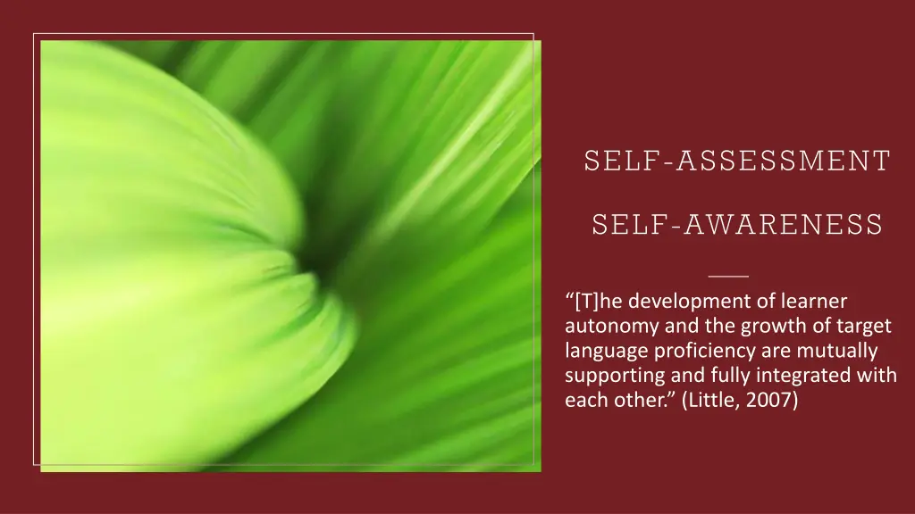 self assessment