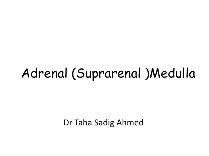 adrenal suprarenal medulla