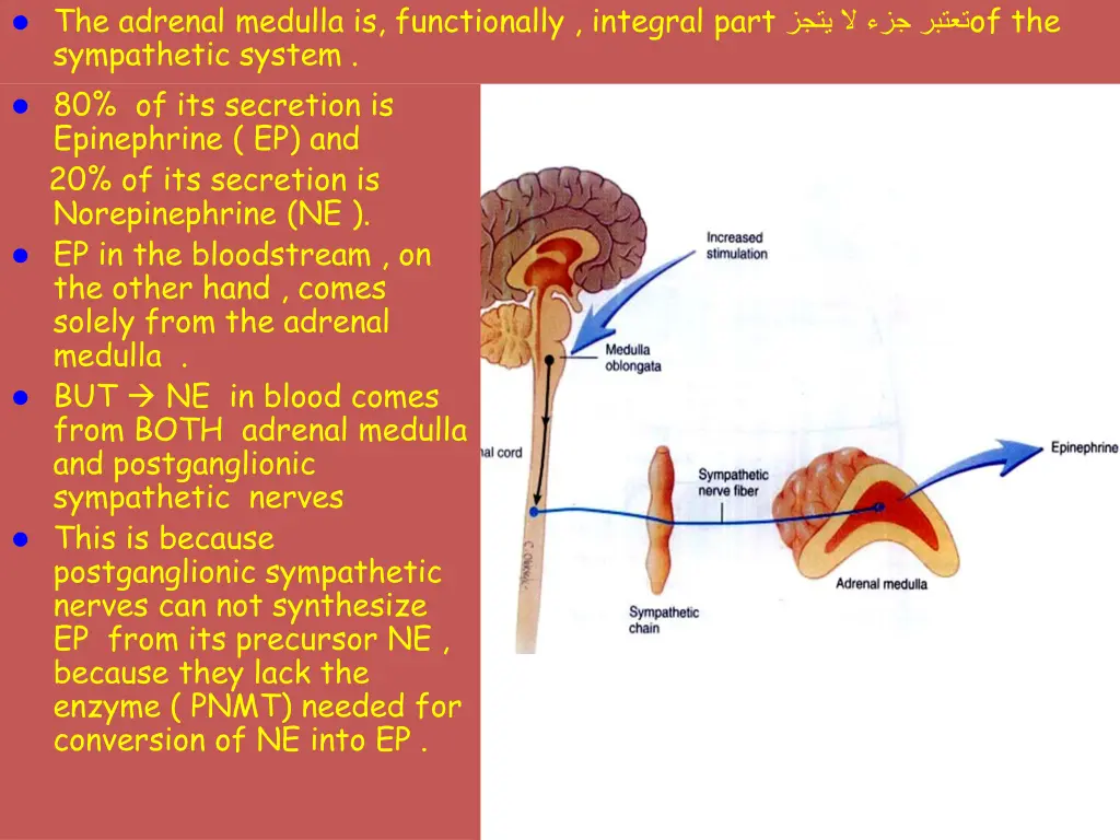 the adrenal medulla is functionally integral part