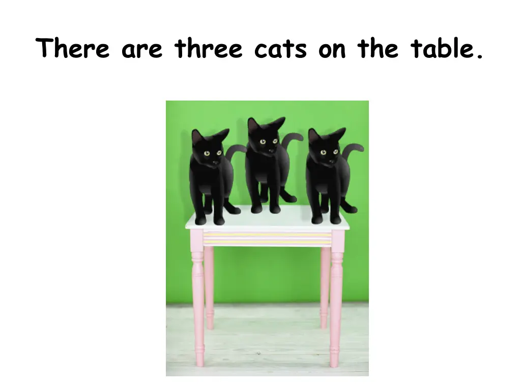 there are three cats on the table