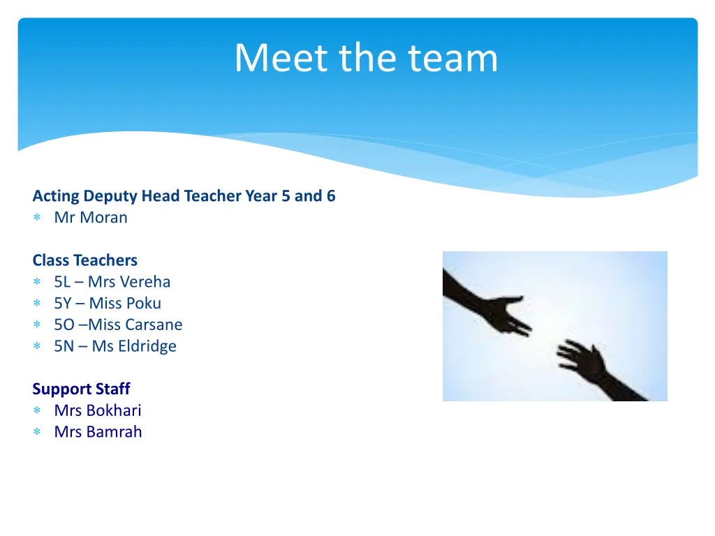 meet the team