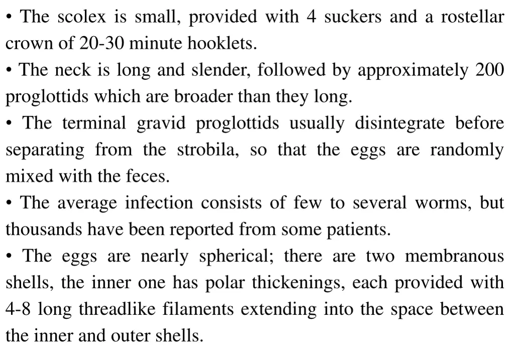 the scolex is small provided with 4 suckers