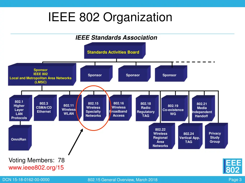 ieee 802 organization