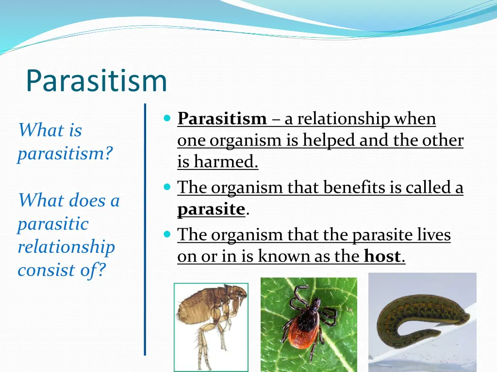 parasitism