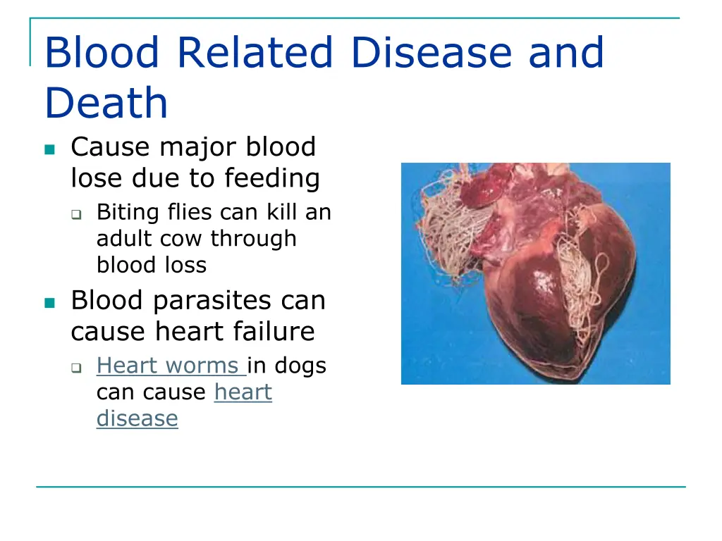 blood related disease and death cause major blood
