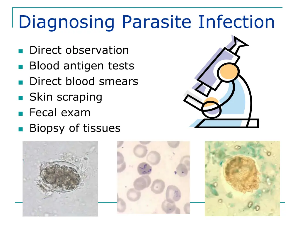 diagnosing parasite infection