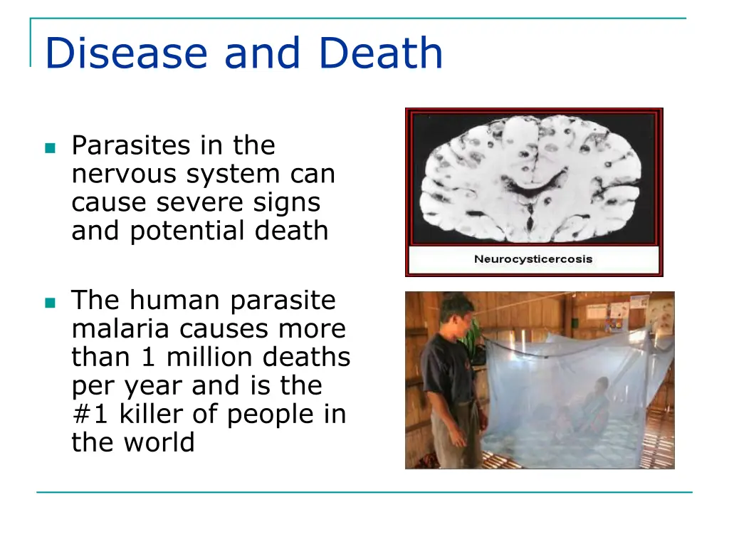 disease and death