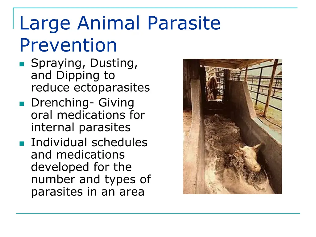 large animal parasite prevention spraying dusting