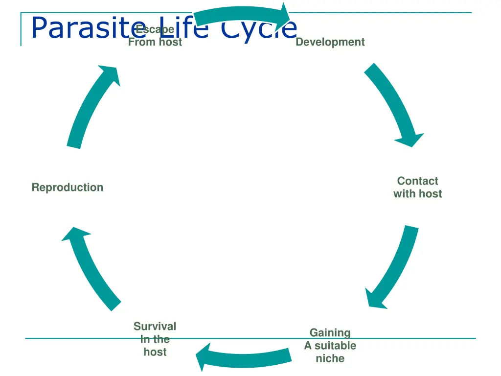 parasite life cycle development from host