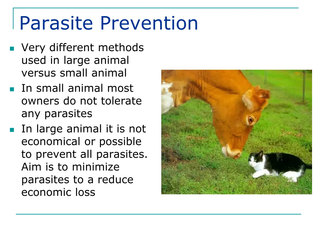 parasite prevention