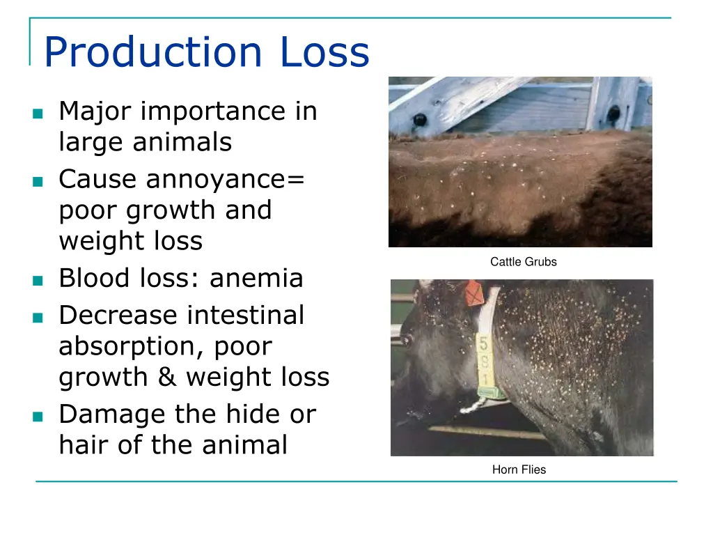 production loss