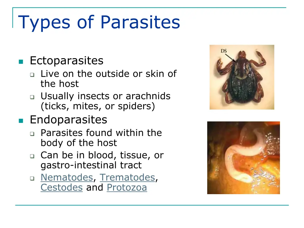 types of parasites